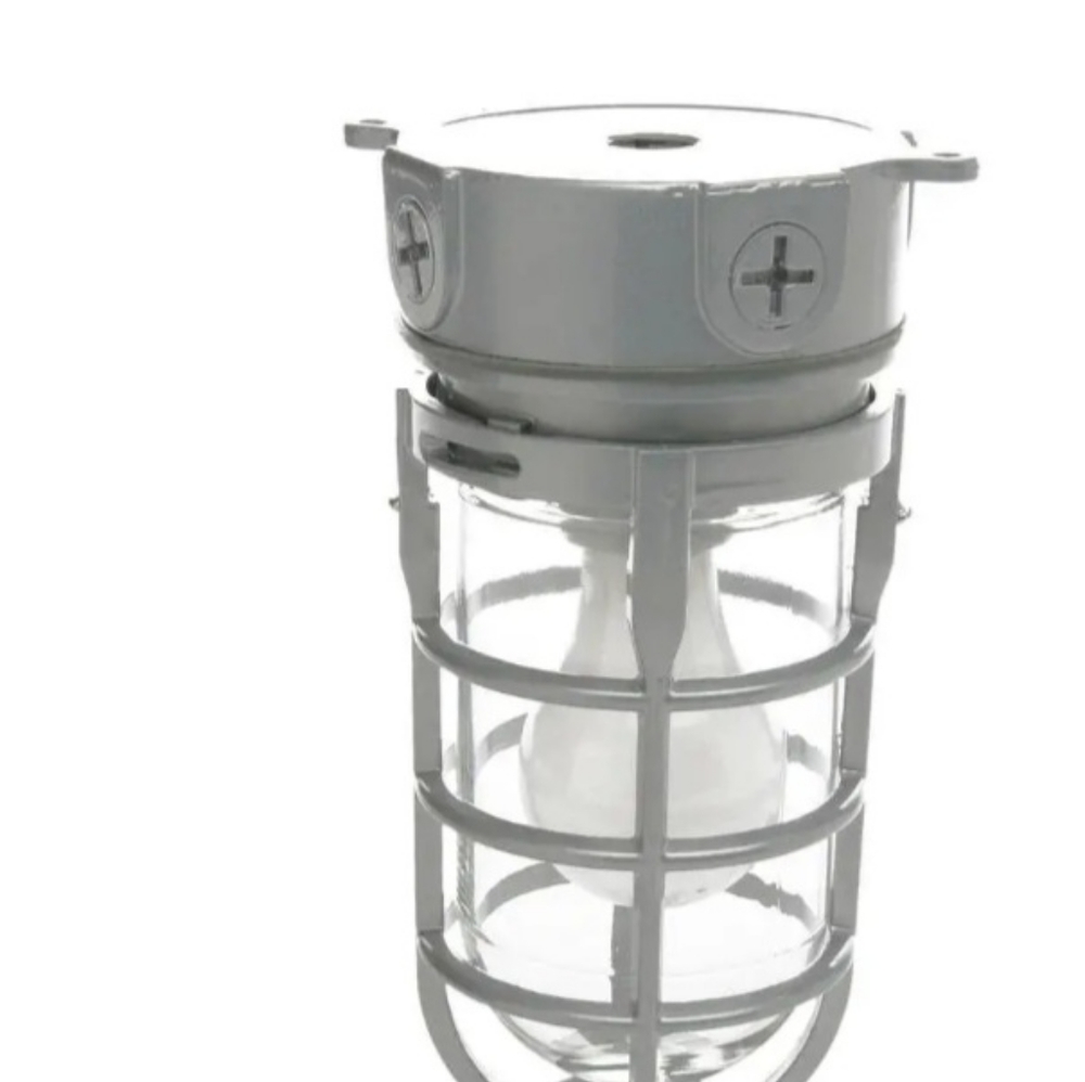 Security light